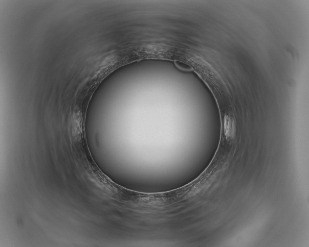 X0000112771107200908271635