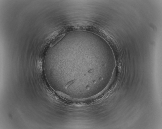 X0000112771108200908271635