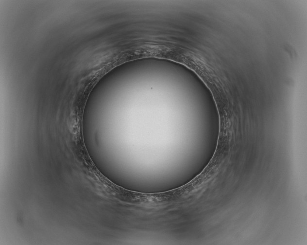 X0000112771109200908271635