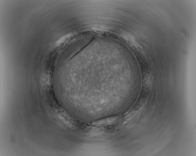 X0000112771110200908271635