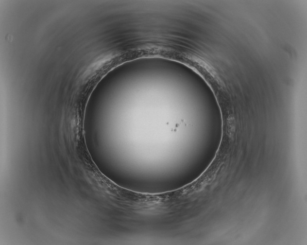 X0000112771111200908271635