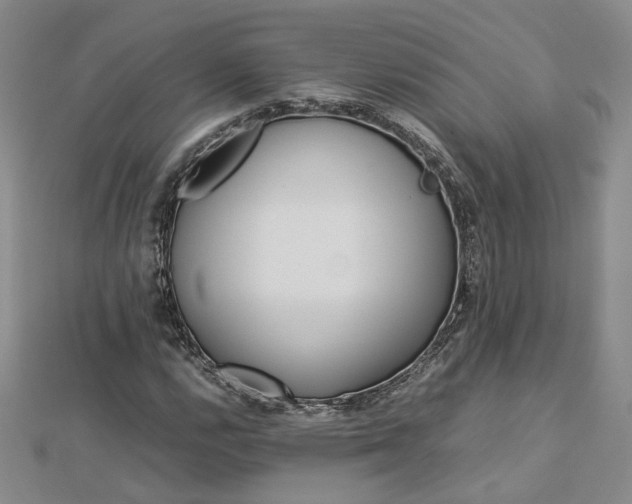 X0000112771112200908271635