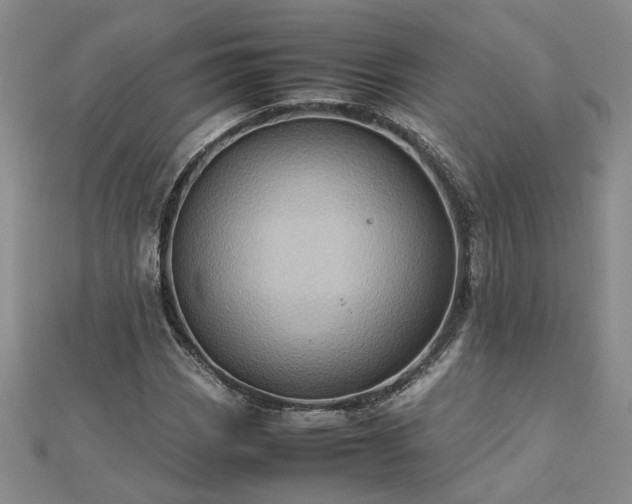 X0000112771113200908271635