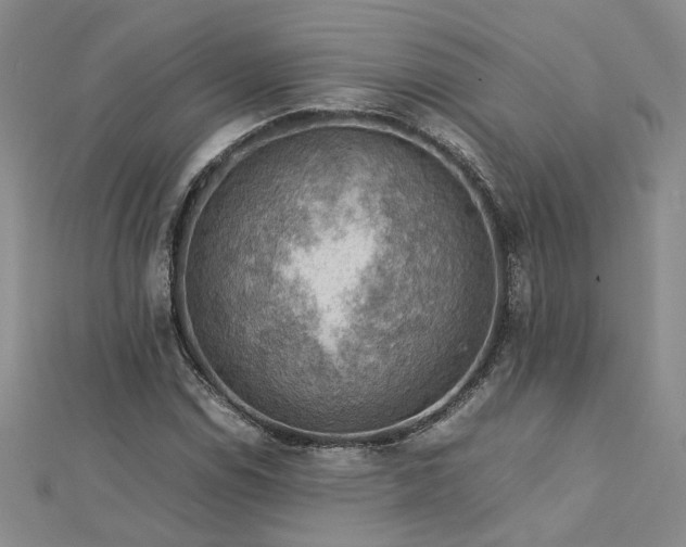 X0000112771114200908271635