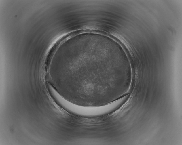 X0000112771115200908271635