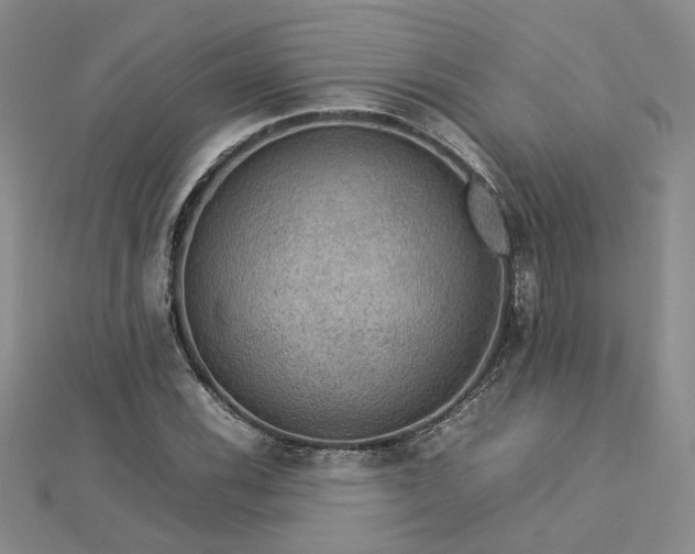 X0000112771116200908271635