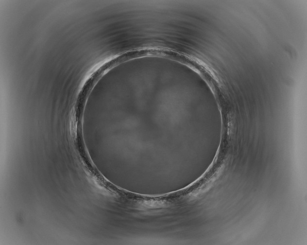 X0000112771117200908271635