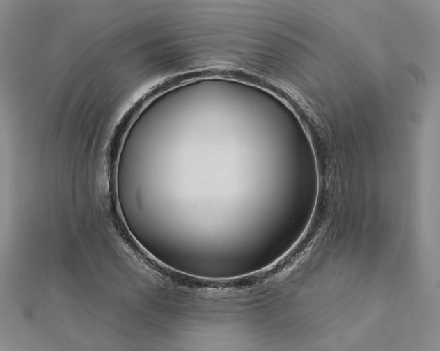X0000112771118200908271635