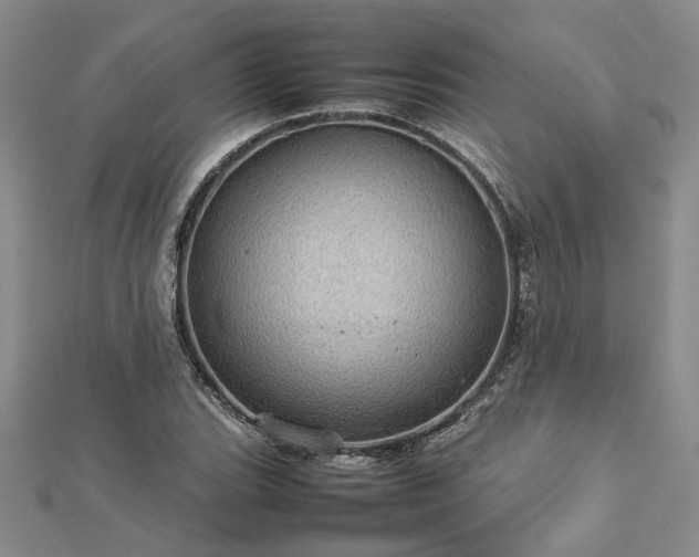X0000112771119200908271635