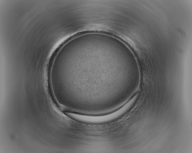 X0000112771120200908271635