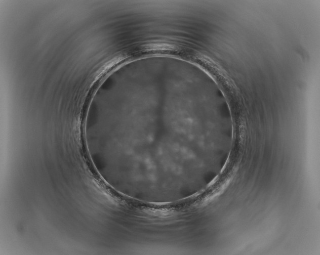 X0000112771121200908271635