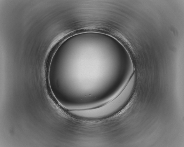X0000112771122200908271635