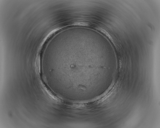 X0000112771123200908271635