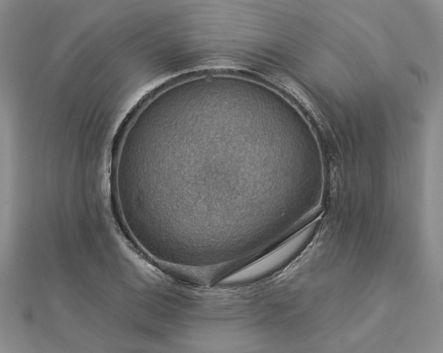 X0000112771124200908271635