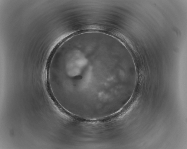X0000112771125200908271635