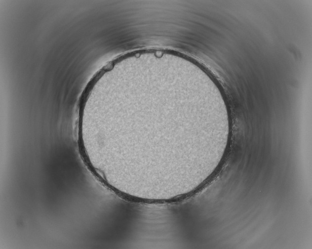 X0000112771126200908271635