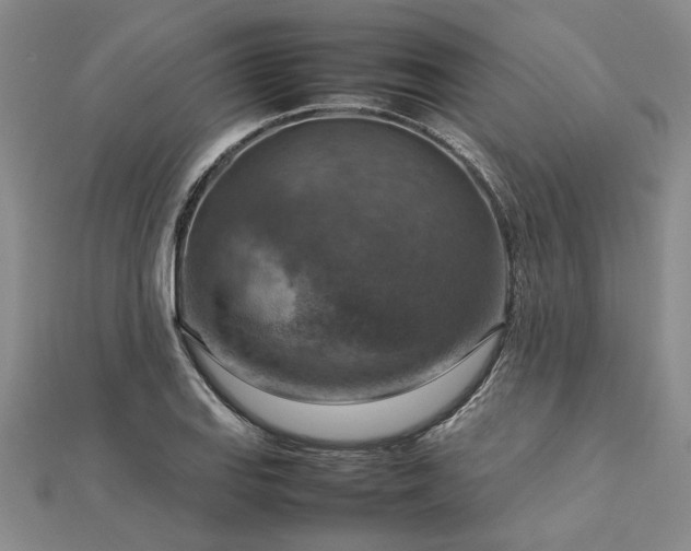 X0000112771127200908271635