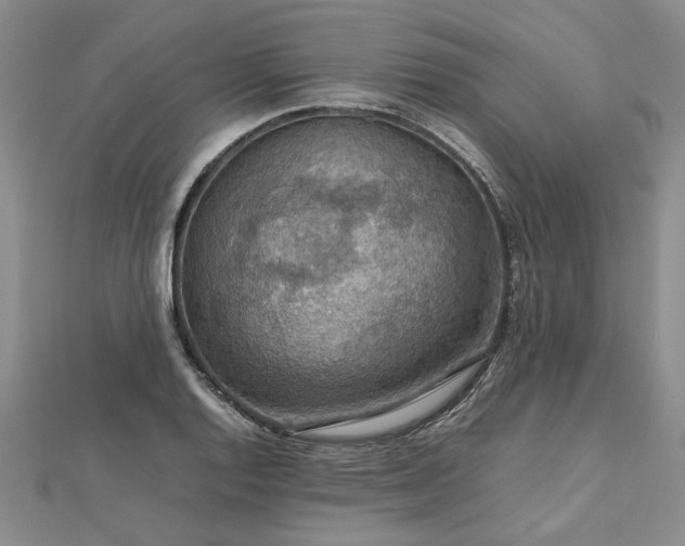 X0000112771128200908271635