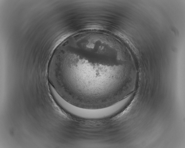 X0000112771129200908271635