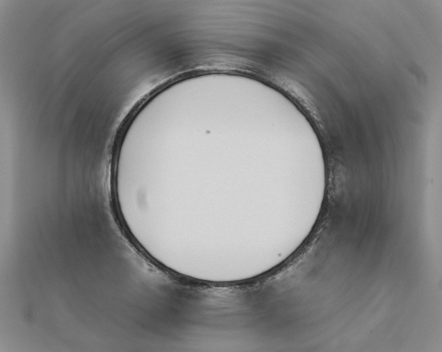 X0000112771130200908271635