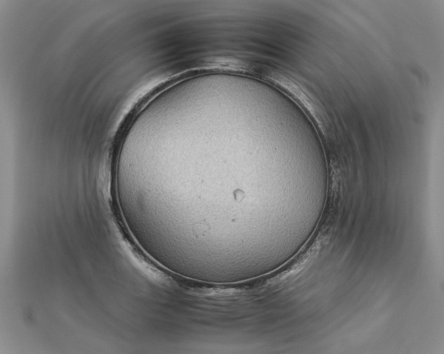 X0000112771131200908271635