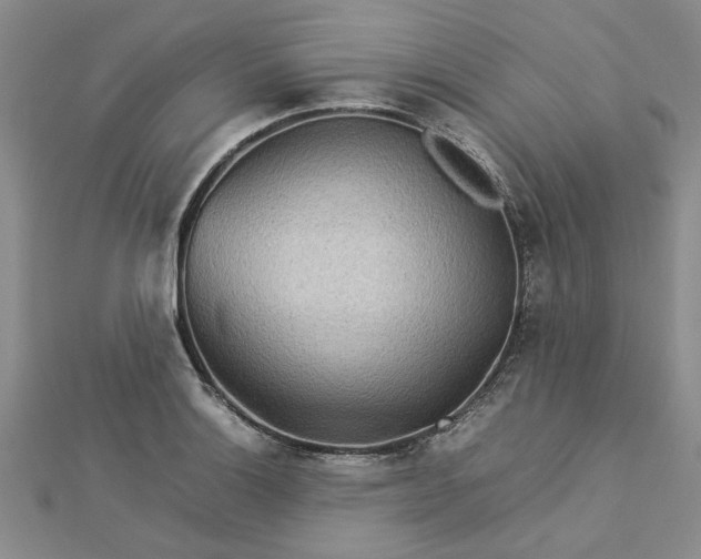 X0000112771132200908271635