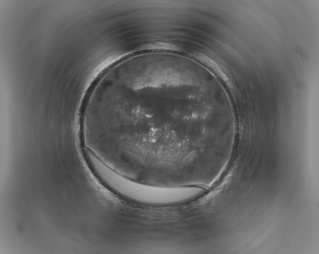 X0000112771133200908271635