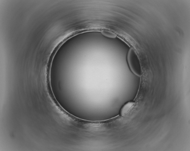 X0000112771134200908271635