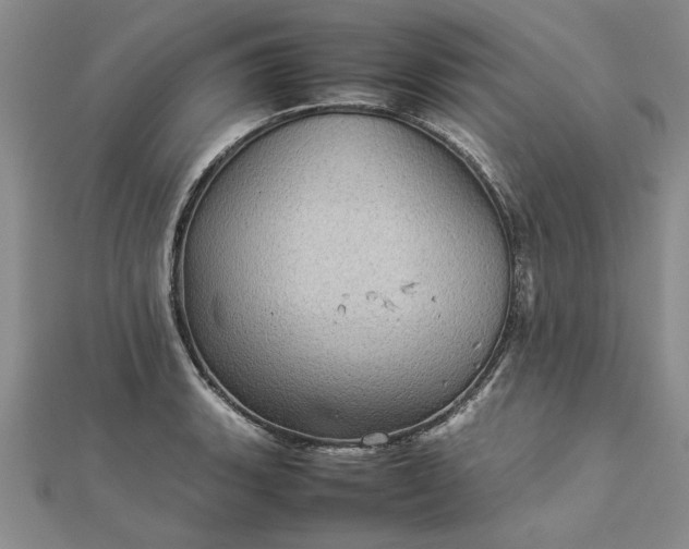 X0000112771135200908271635