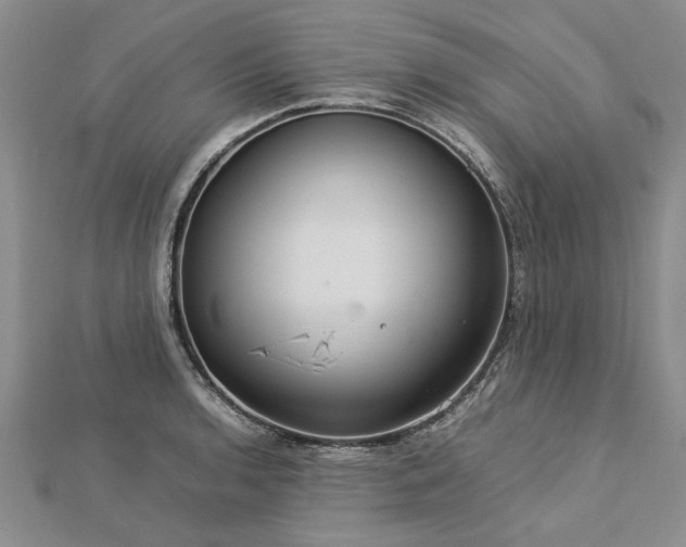 X0000112771136200908271635
