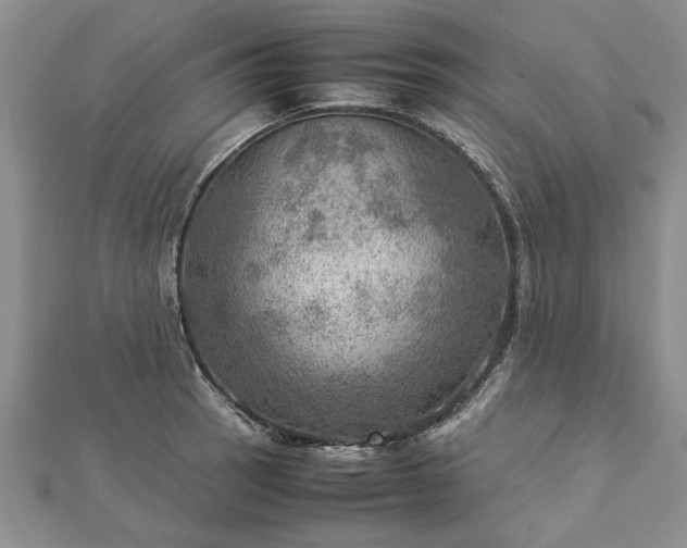 X0000112771137200908271635