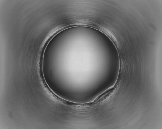 X0000112771138200908271635