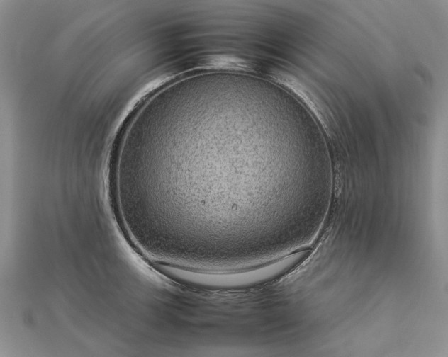 X0000112771139200908271635