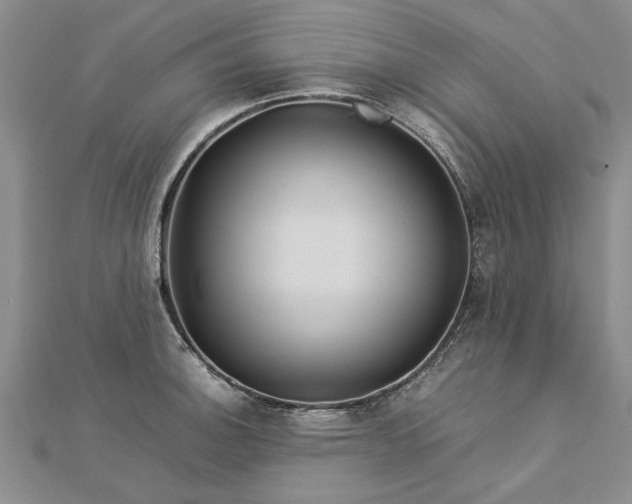 X0000112771140200908271635