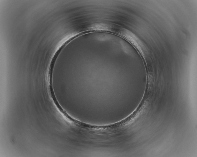 X0000112771141200908271635