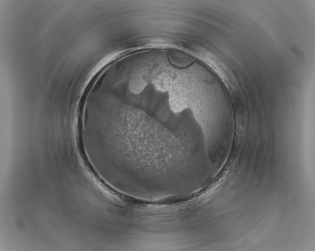 X0000112771142200908271635