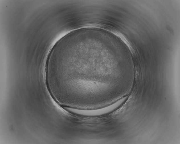 X0000112771143200908271636
