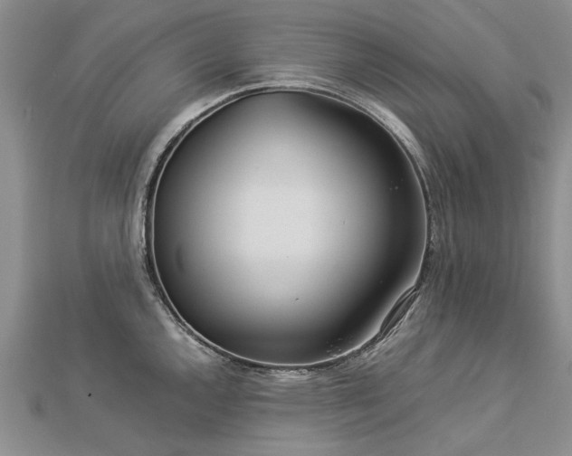 X0000112771144200908271636