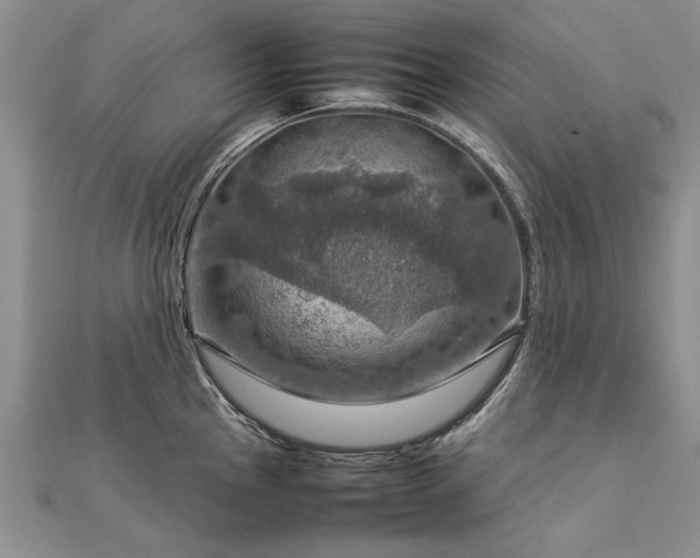 X0000112771145200908271636
