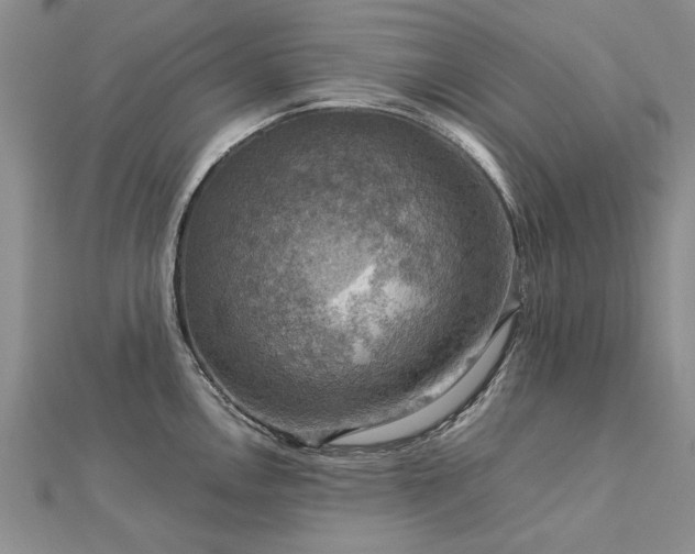X0000112771146200908271636