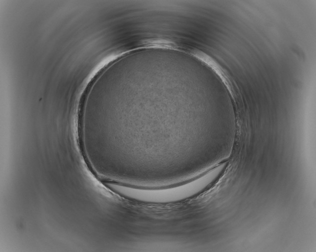 X0000112771147200908271636