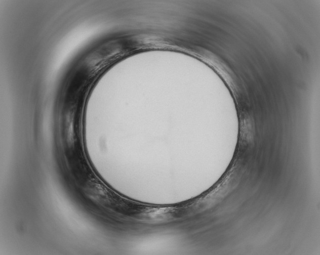 X0000112771150200908271636