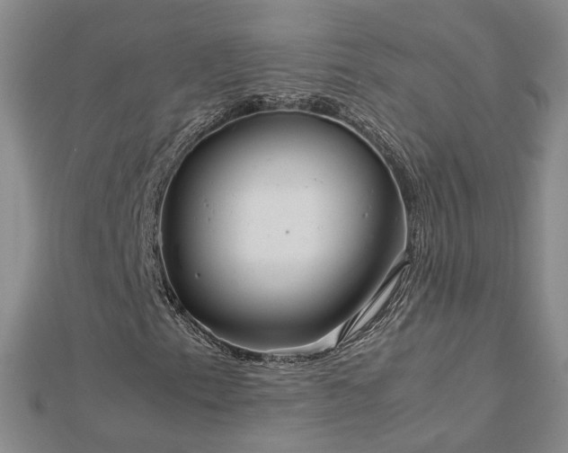 X0000112771153200908271635