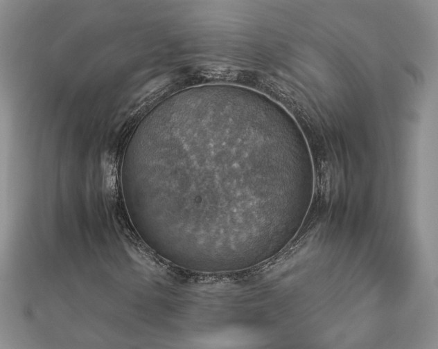 X0000112771154200908271635
