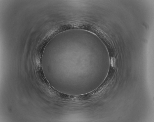 X0000112771155200908271635