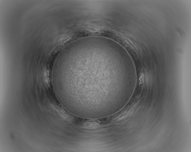 X0000112771156200908271635