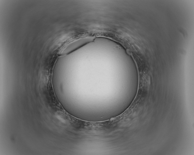 X0000112771157200908271635