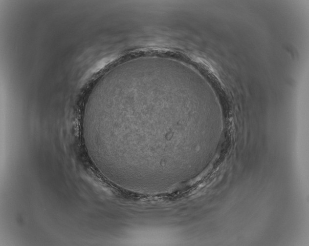 X0000112771159200908271635