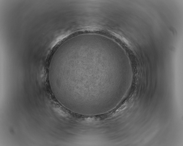 X0000112771160200908271635