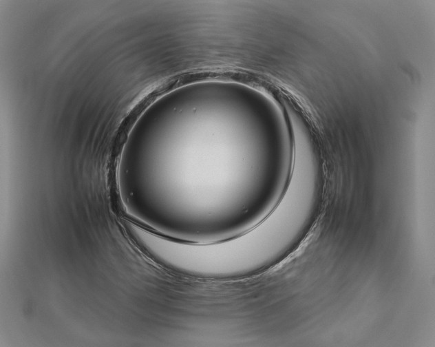 X0000112771162200908271635